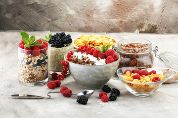 Cereal and ingredients for a healthy breakfast with chia pudding, granola, cornflakes and berries