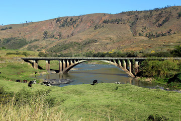ponte