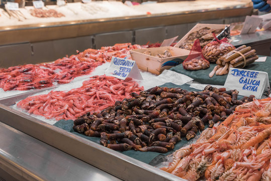 Meeresfr&uuml;chte am Fischmarkt in Valencia