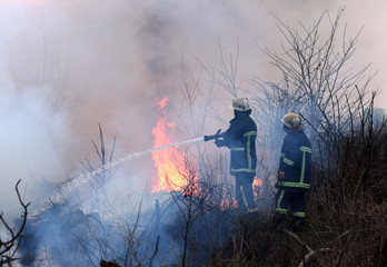 firefighters spray water to wildfire. firefighter extinguishes a forest fire