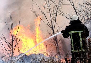 firefighters spray water to wildfire. firefighter extinguishes a forest fire