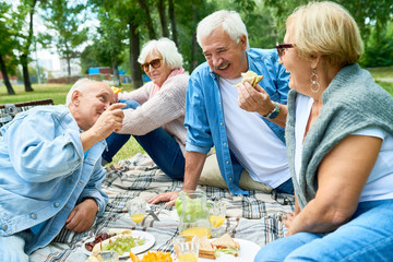 Portrait of group of cheerful senior friends enjoying picnic on green lawn in park spending time...