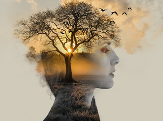 double exposure, beautiful woman with tan fused with a sunset and a lonely tree, loneliness concept