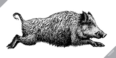 Obraz premium black and white engrave isolated pig vector illustration