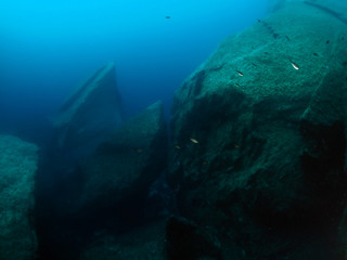 Naklejka na ściany i meble Scuba Diving Malta - Dwejra - Gozo - Azure Reef