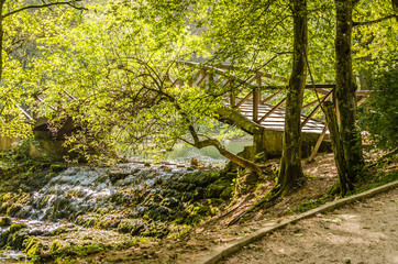 Spring of river Bosnia near the city of Sarajevo 