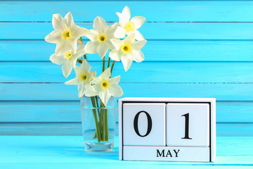 White wooden calendar with the text: May 1. White flowers of daffodils on a blue wooden table. Labor Day and Spring.