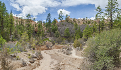 Hiking Mossy Cave Trail at Bryce Canyon.