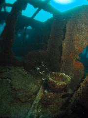 Scuba Diving Malta - Scotscraig Wreck