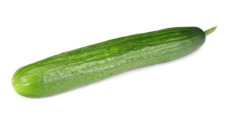 one fresh cucumbers isolated on white background