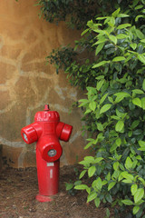 viaggiare in provenza