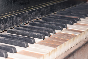 Keys of an old classical grand piano closeup