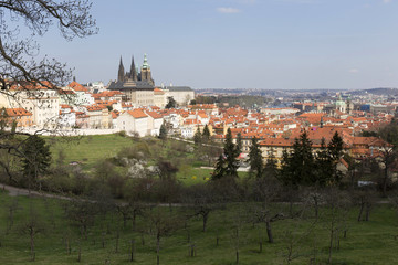 Spring Prague City with gothic Castle and the green Nature and flowering Trees, Czech Republic