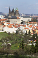 Obraz premium Spring Prague City with gothic Castle and the green Nature and flowering Trees, Czech Republic