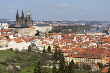 Naklejka na ściany i meble Spring Prague City with gothic Castle and the green Nature and flowering Trees, Czech Republic