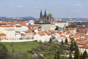 Naklejka na ściany i meble Spring Prague City with gothic Castle and the green Nature and flowering Trees, Czech Republic