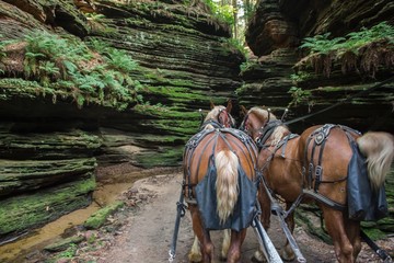 The Lost Canyon is a Hidden Gem of the Wisconsin Dells with Horse Rides through a Scenic Gorge