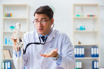 Doctor student studying the bones of skeleton