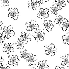 Monochrome seamless  pattern with  sakura on a white background.