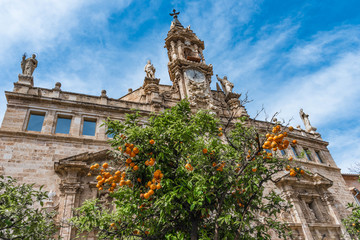Obraz premium Kirche Los Santos Juanes in Valencia mit Orangenbäumen