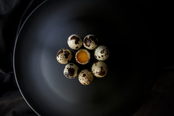 Quail Eggs
