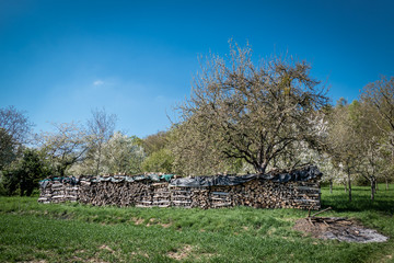 Fototapeta premium Brennholzlager im Frühjahr