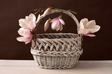 białe magnolie, magnolie w koszu, białe magnolie, kwiaty,  © Ansza