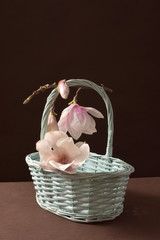 białe magnolie, magnolie w koszu, białe magnolie, kwiaty, naturalny, kwiaty w studio © Ansza