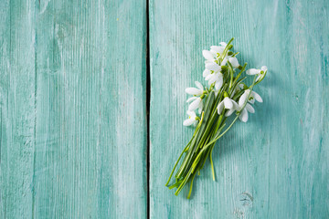 snowdrops on turquoise wooden surface