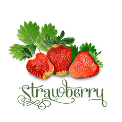 Strawberry leaves and berries isolated on white background.