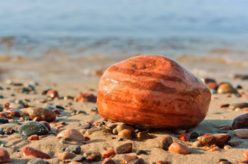 Sea stones. Big and small stones from the sea. Stones of different size and color.
