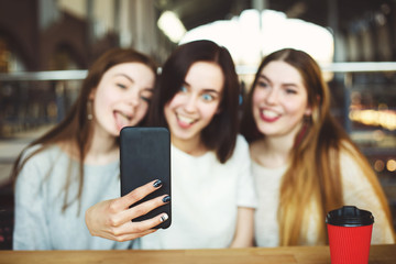 Cute smiling women take selfie together