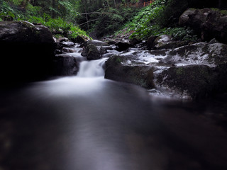 Waterfall at the carpatian mountains at the green rainy pine forest