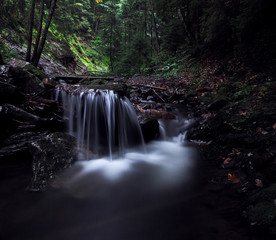 Waterfall at the carpatian mountains at the green rainy pine forest