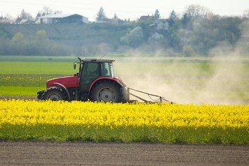 Fototapeta premium Tractor at work