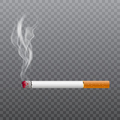 Realistic cigarette smoking on transparent background. Vector.