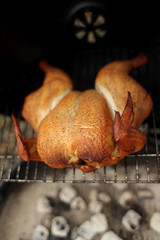 Herb spatchcock chicken cooking on the grill.