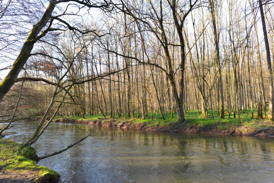 Kinzig in der Bulau - Hanau/Hessen 