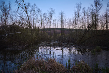 Early spring in nature.Orange sunset on a rural landscape. The colorful reflections on the water lake. Outdoor recreation.Stock image for design. Mysterious mystical place.Marshland in the forest.