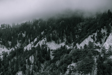 Mountain Storms and Foggy Weather