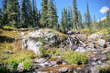 falls and treeline