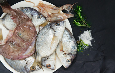 fresh mantis shrimps, catshark, crab - ingredients for fish stew Bouillabaisse