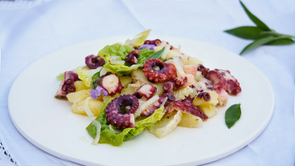 octopus salad with potato