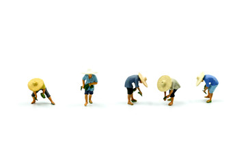 Miniature people : farmers working on white background.