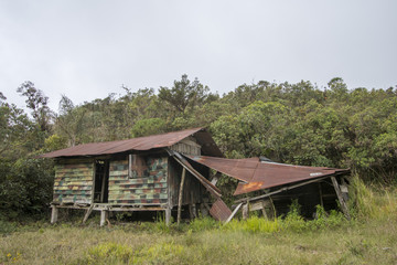 Abandoned military base from the Cenepa War in the 90's on Alto Paquisha Tepuy in the Cordillera del Condor, the border of Ecuador with Peru. A site of exceptional plant and animal biodiversity.