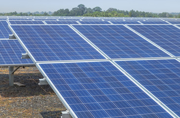 Close up rows array of polycrystalline silicon solar cells or photovoltaics in solar power plant 