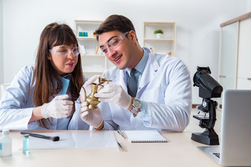 Two archeologists looking at ancient gold lamp