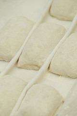 Fresh bread dough 