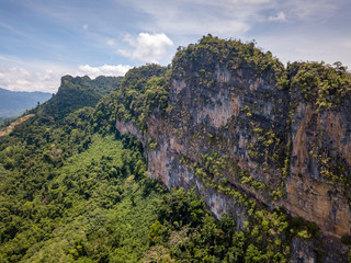 A huge limestone cliff in the middle of a tropical rainforest