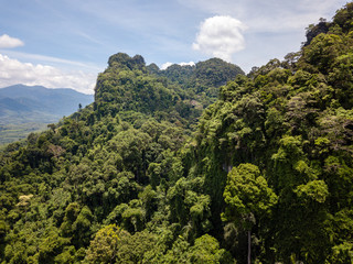 Fototapeta premium A huge limestone cliff in the middle of a tropical rainforest